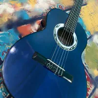 یک عددگیتار نونو به همراهکیف و 3عدد کتاب آموزشی|گیتار، بیس، امپلیفایر|اهواز, سخیریه|دیوار