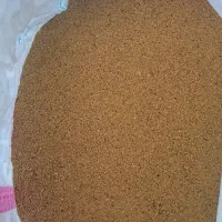 فروش بذر یونجه اصل همدان پا بلند|عمدهفروشی|بیله سوار, |دیوار