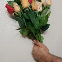 گل رز