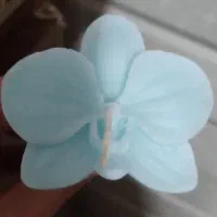 گل های ماندگار شمعی|صنایع دستی و سایر لوازم تزئینی|رفسنجان, |دیوار