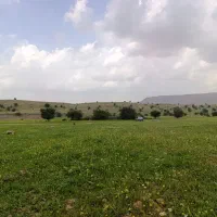 زمین-مسکونی