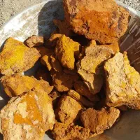 سنگ مشکوک به معدن طلا