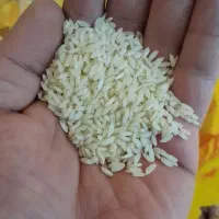 عنبر بو شوشتر درجه یک