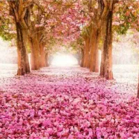 سیم ۰۹۱۲ کد ۸ چندسالی خاموش بدون زنگ خور