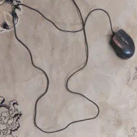 موس مارک فراسو|قطعات و لوازم جانبی رایانه|ری, علایین|دیوار