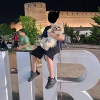 سگ پامرانین ۲ ساله رنگ کرم   با وسایل ۳۵
