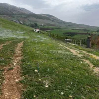 زمین  کشاورزی در منطقه زیبای کوهپس دیلمان|فروش زمین و ملک کلنگی|دیلمان, |دیوار