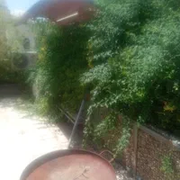 خدمات  باغبانی بصورت حرفه‌ای با35سال از0تا100|خدمات باغبانی و درختکاری|شیراز, قدوسی غربی|دیوار