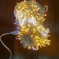 ریسه انبه ای فلاش زن