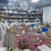 لوستر مستقیم از کارگاه با قیمت تولیدی