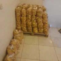 نان خشکه تنوری سبوس‌دار یزدی