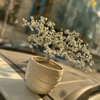 تزئینی منزل|مجسمه، تندیس، ماکت|تهران, کاشانک|دیوار