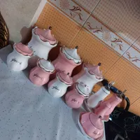 پاسماوری