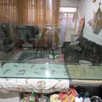 اکواریوم۱۰میل سوپر کلیر سکوریت بزرگ نونو|ماهی|تبریز, |دیوار