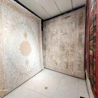 ۱۲پتری ۴تایی خرید قبل فقط 38 تومن واقعی