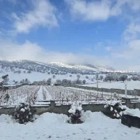 نگهبانی و باغبانی