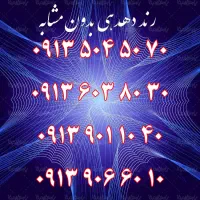 0913.616.30.31|سیم‌کارت|اصفهان, جامی|دیوار