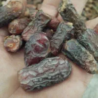 شلوار.  پیازم