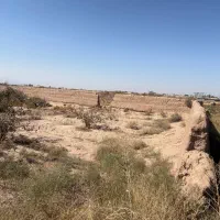 زمین پسته ای در محدوده فتح اباد شهرستان زرند|فروش زمین و ملک کلنگی|زرند, |دیوار