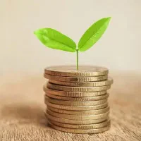 شراکت جهت چایخانه سنتی