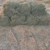۱۷بسته بیده و یونجه