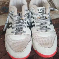 کفش و کتونی