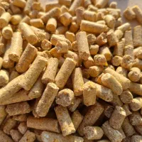 جو ویونجه وخوراک دام