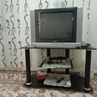 تلویزیون
