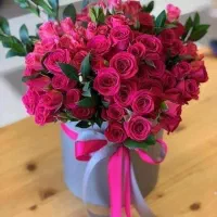 راهنمایی‌‌میکنم