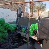 جشنواره چمن مصنوعی . گرینوال فنس برگی و چمنی تایل