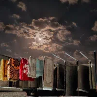 قالیشویی هورام