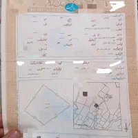 400متر-زمین-شش-دانگ-برای-فروش-رامسر-نیاسته