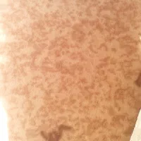 موکت جنس نمدی ودرجه یک|موکت|یاسوج, |دیوار