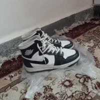 شلف زیبا و چتر|کتابخانه، شلف، قفسه‌های دیواری|دورود, |دیوار