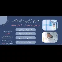 تزریقات و پانسمان