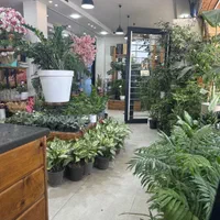 نیروی کار اقا و خانم در گلفروشی