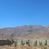 مرغداری گوشتی|فروش دفتر صنعتی، کشاورزی، تجاری|عسگران, |دیوار