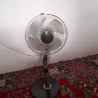 پنکه ایستاده درحد