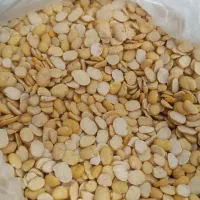 لپه باقلا زیر قیمت