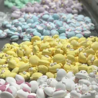 کسب وکار|خوردنی و آشامیدنی|تهران, سنگلج (شاپور)|دیوار