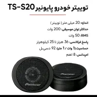 توییتر پایونیر . یک عدد