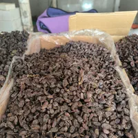 کشمش ملایر|عمده‌فروشی|ری, ملک‌آباد|دیوار