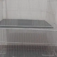قفس پنجاه و شصت سانتی کفتر عروس قناری جفتگاه|لوازم جانبی حیوانات|مشهد, همت آباد|دیوار