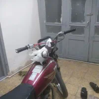 یه جفت طوقی|پرنده|شاهرود, |دیوار