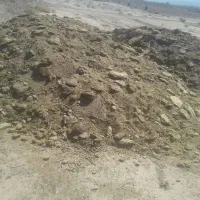 کودگوسفندی فروشی
