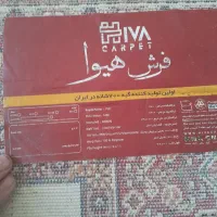 فرش ماشینی|فرش|مشهد, انقلاب|دیوار