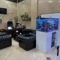 مشاور املاک هم افراد با سابقه وافراد بدون سابقه|استخدام بازاریابی و فروش|قدس, شهرقدس|دیوار