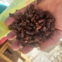 کشمش ابگیری