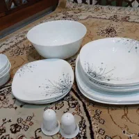 سرویس ارکوپال ناقص