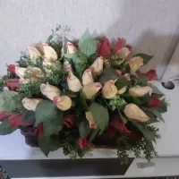 گل وگلدون نونو